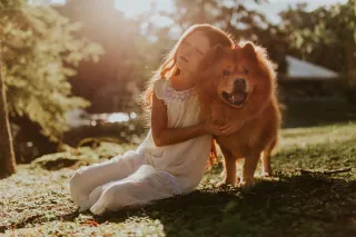 Les avantages de souscrire une assurance pour animaux de compagnie