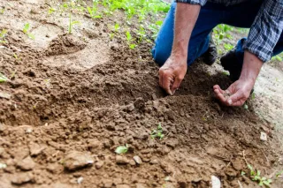 Bien s'assurer en tant qu'agriculteur