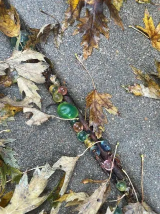 Grief Is Like a Gel Water Bead: How Kids’ Feelings Resurface