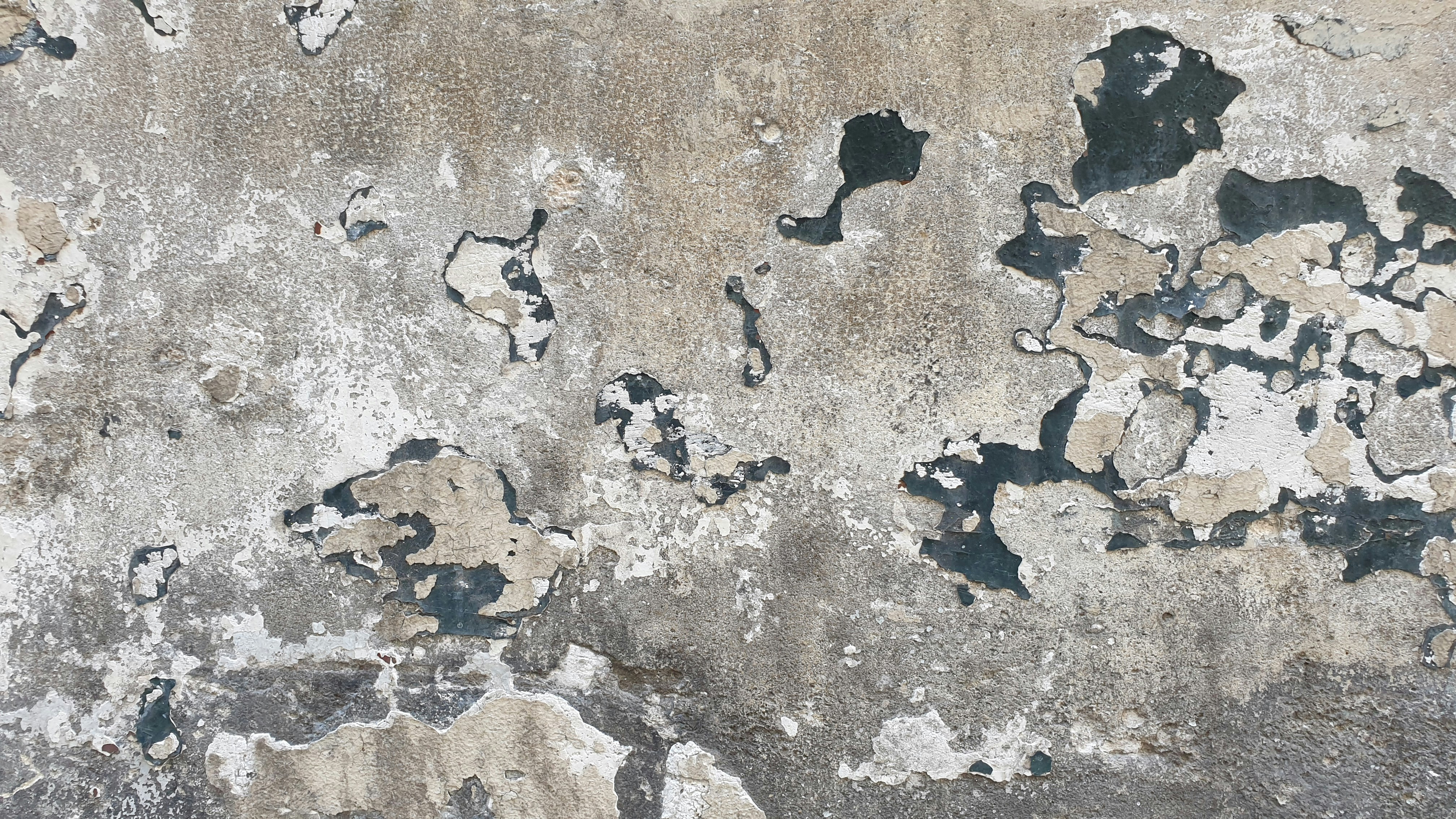 Penetrating Damp vs Condensation: How to Tell the Difference and Why It Matters for Claims