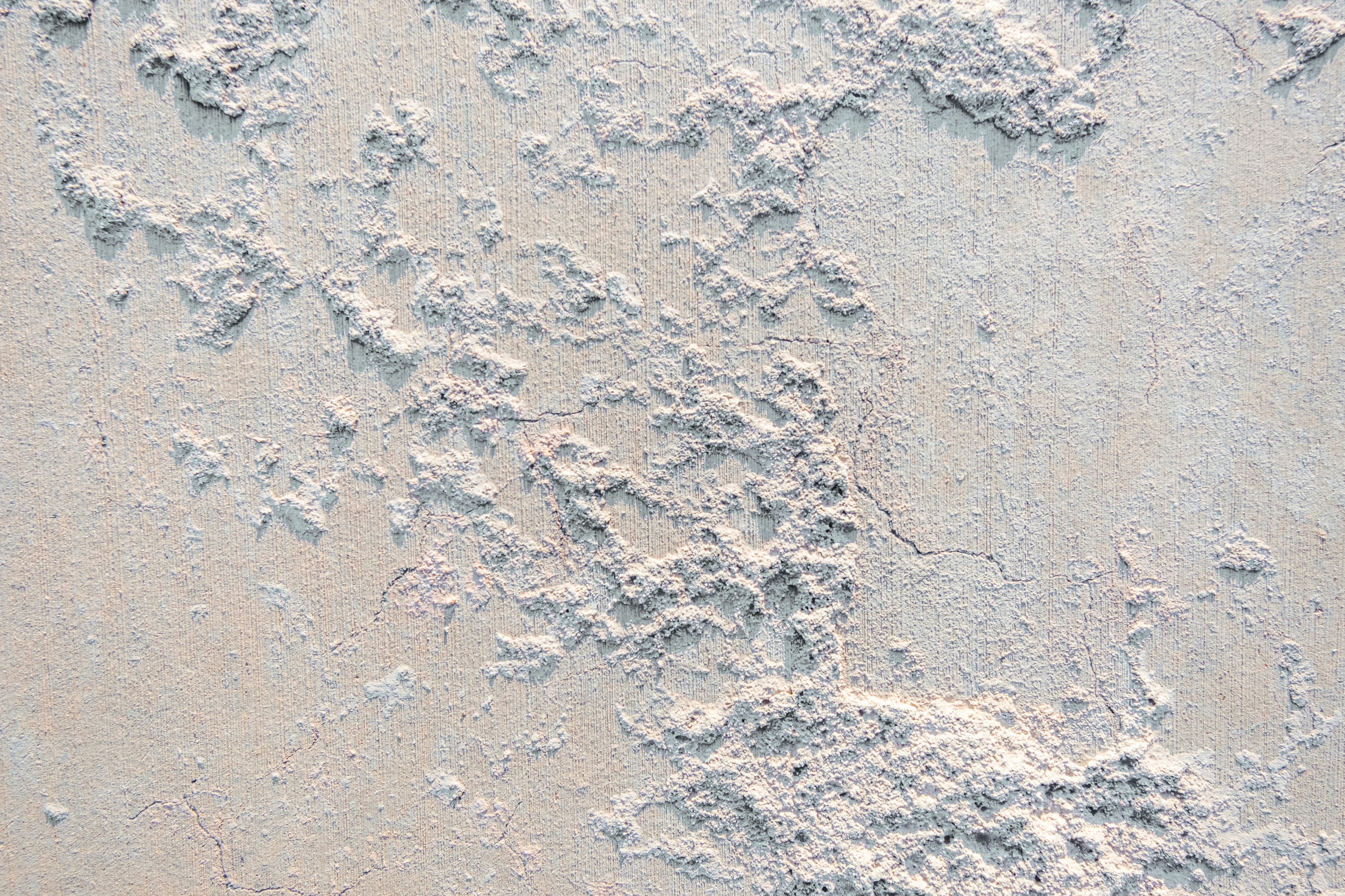 Evidence a housing disrepair claim service will need