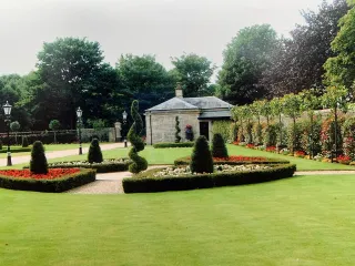 Transforming Your Outdoor Space: What to Expect from a Garden Makeover