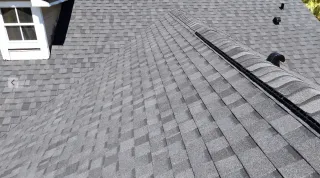 Pros and Cons of Asphalt Shingles in Florida