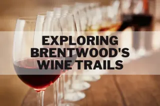 Exploring Brentwood's Wine Trails