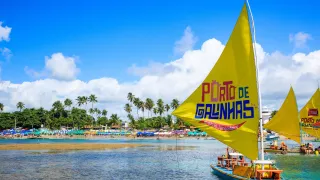 Guia prático para aproveitar Porto de Galinhas