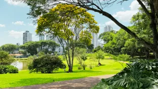 Descubra Curitiba: 11 Passeios Imperdíveis e Planeje Seu Roteiro