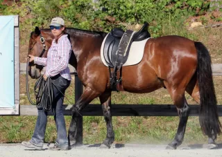 Logical Application Of The Aids