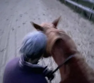 The Point Where Language Stops