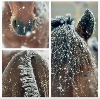 You Can Train to be Anything