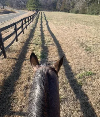 Creative Minds Are Never Bored