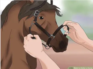 Gear Fit and Quality