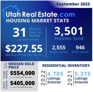 November 2022 Newsletter
