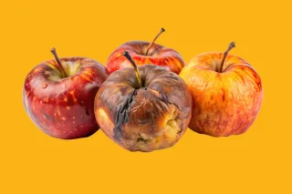It's Up to You to Stop the Bad Apples from Ruining Your Brand