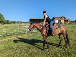 He's My Huckleberry - 8 Steps to Starting with a New Horse