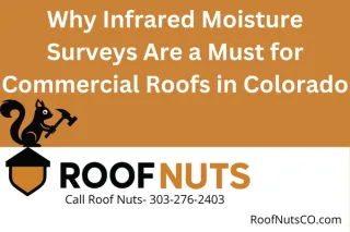 Why Infrared Moisture Surveys Are a Must for Commercial Roofs in Colorado