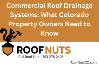 Commercial Roof Drainage Systems: What Colorado Property Owners Need to Know