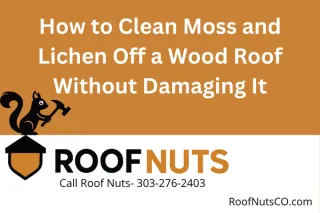 How to Clean Moss and Lichen Off a Wood Roof Without Damaging It