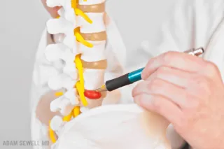 DISC DENERVATION