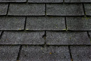 The Telltale Signs You Are Due for a Roof Replacement