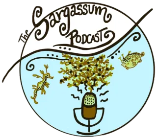Sargassum Podcast – Internship opportunity