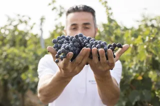 The Legendary Grape: Nero di Troia, The Black of Troy