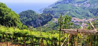 From Pompeii to the Amalfi Coast: Discover Campania’s Treasures in History, Food & Wine



