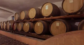 The Quiet Role of Oak: Aging Wine Without Losing Its Soul