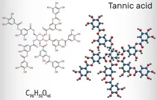 We’ve All Heard Them Called “Dry.” But What Does That Really Mean?