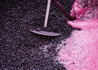 Why I Would NEVER Use Wild Fermentation