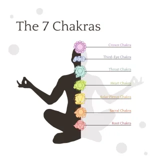 The Chakra System