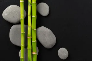The gift of Flexibility