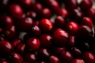 RECIPE: CRANBERRY SAUCE