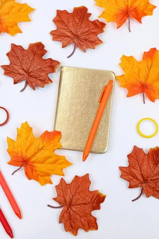 FUN: Leaf Collecting, Counting and Sorting