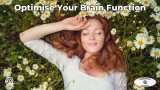 Optimising Brain Function: Gut Health, Stress & Spinal Health