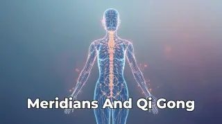 Qi Gong & the Meridian System: A Complete Guide (12 Primary + Ren & Du)