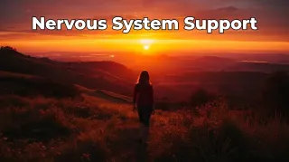 Nervous System Support for Highly Sensitive People: Stay Calm, Centred and Grounded