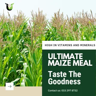 Discover the Ultimate Super White Maize Meal from Ultimate Foods