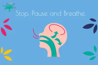 Stop Pause and Breathe.
