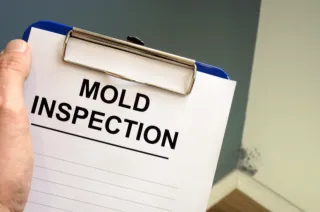 February Focus: Protect Your Home with Mold Testing