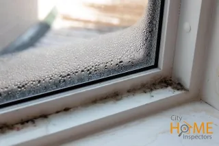 Mold Prevention Tips for a Healthier Home