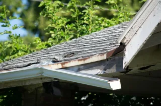 Roof Inspections 101: Protecting Your Home from the Top Down
