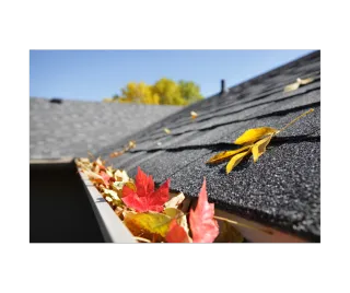  Gutter Guard or Annual Cleaning? What’s Best for Chicago Homes