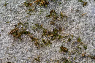 What Happens to Your Home When the Ground Thaws