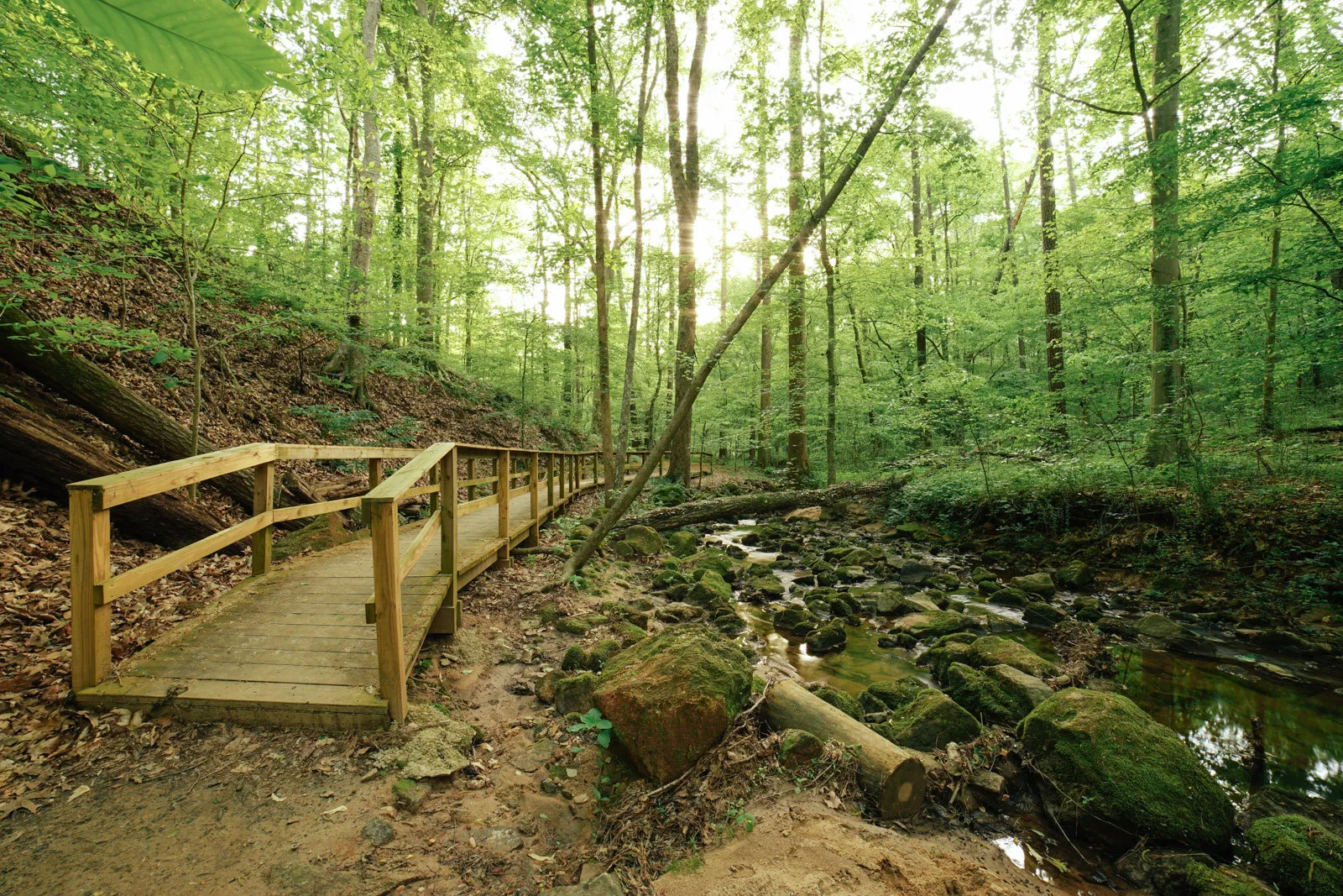 🌿Chasing Waterfalls in ATL: Why Cascade Springs Trail is the City’s Best-Kept Secret 
