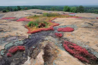 🌄 Arabia Mountain: Atlanta’s Most Unexpected Adventure