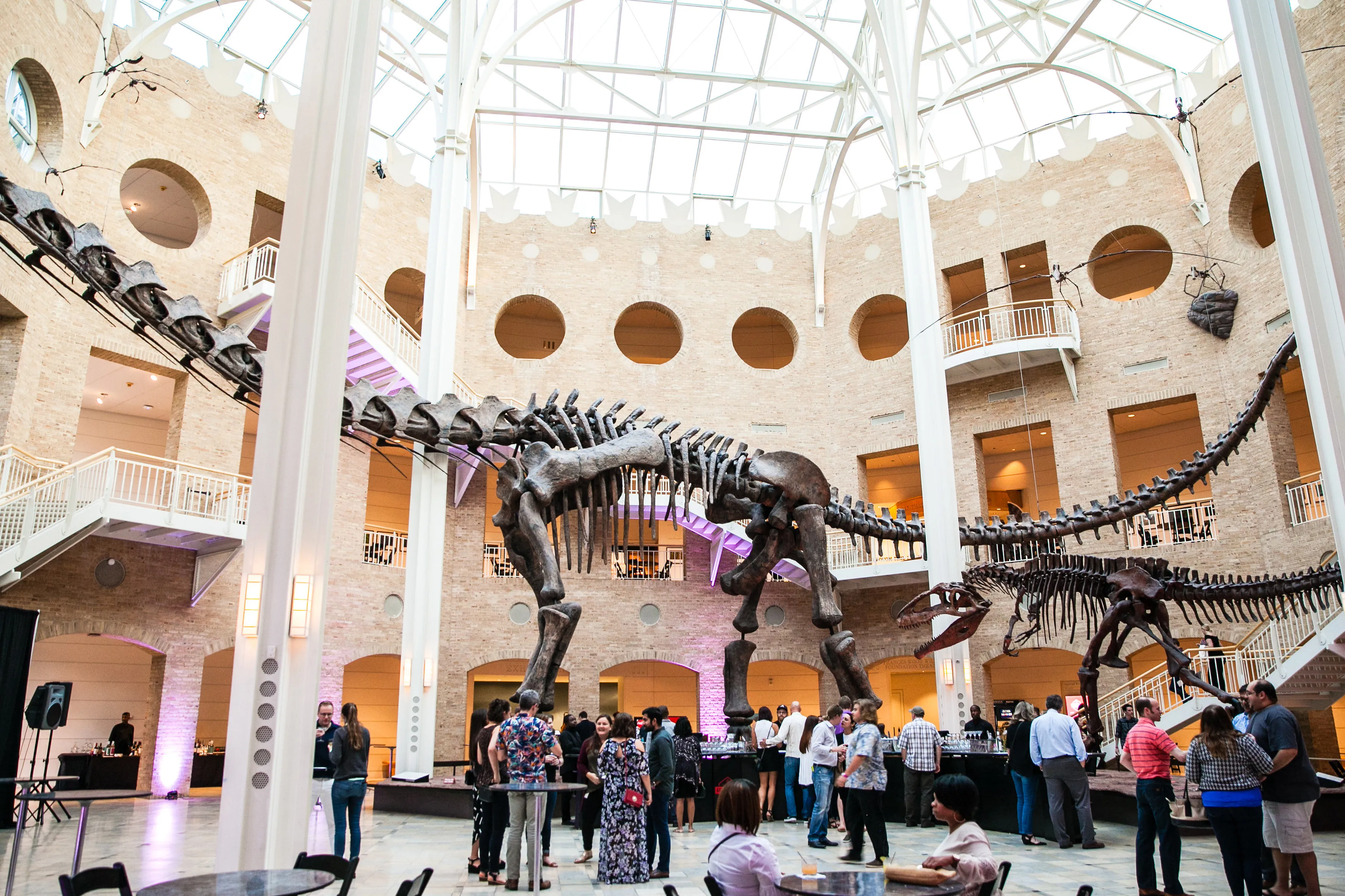 🌌Unlock the Wonders of the Universe at Fernbank Science Center