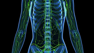 VACCINATIONS interrupt the lymphatic flow...