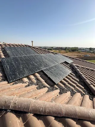 Birdproofing Solar Panels: Why it Matters