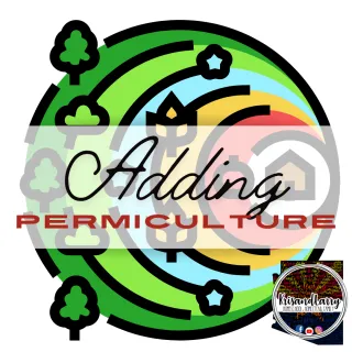 Permaculture Introduction