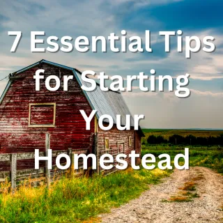 7 Essential Tips for Starting Your Homestead